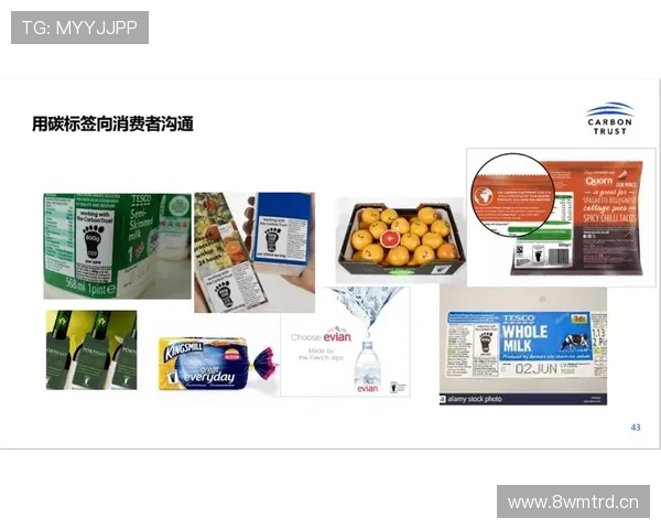 企业家智慧与创新思维的深度解析与实践路径探讨