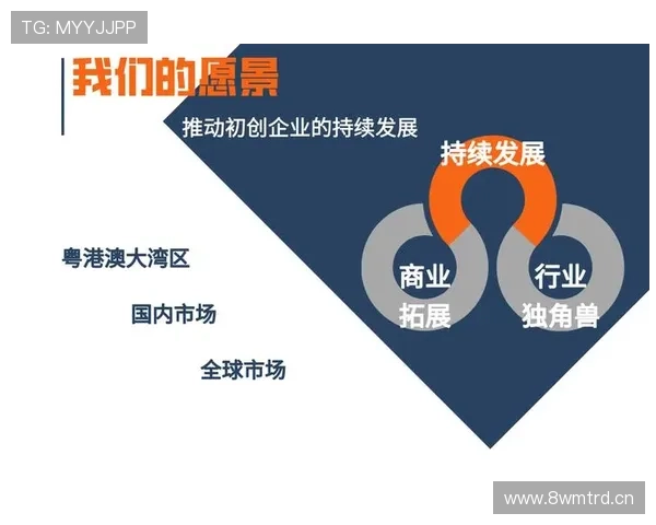 企业家在推动创新与社会发展的关键作用及其社会责任解析